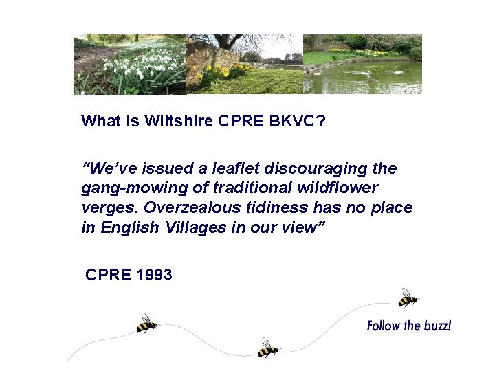 What is Wiltshire CPRE BKVC? “We’ve issued a leaflet discouraging the gang-mowing of traditional