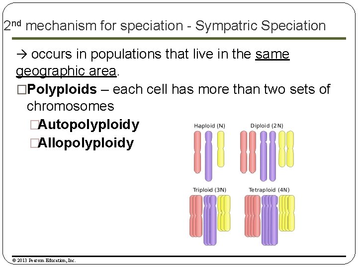 2 nd mechanism for speciation - Sympatric Speciation occurs in populations that live in
