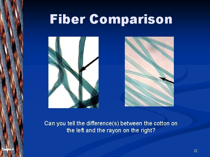 Fiber Comparison Can you tell the difference(s) between the cotton on the left and Fiber Comparison Can you tell the difference(s) between the cotton on the left and