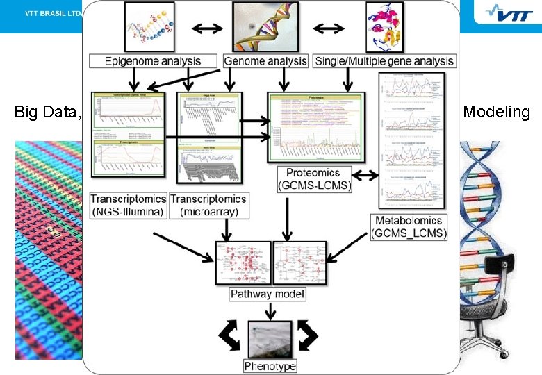 29/09/2020 11 Bioinformatics: a Modern Challenge Big Data, Genome Assembling, Gene Annotation, Computer Modeling