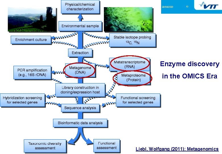 29/09/2020 13 Enzyme discovery in the OMICS Era Liebl, Wolfgang (2011): Metagenomics 