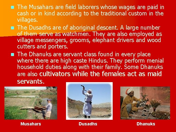 The Musahars are field laborers whose wages are paid in cash or in kind