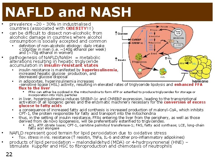 NAFLD and NASH • • prevalence 20 - 30% in industrialised countries (associated with