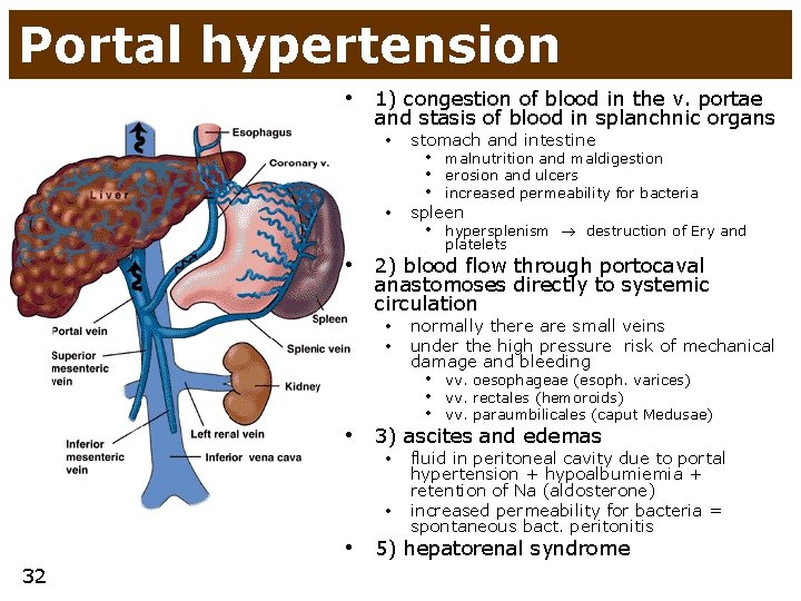 Portal hypertension • 1) congestion of blood in the v. portae and stasis of