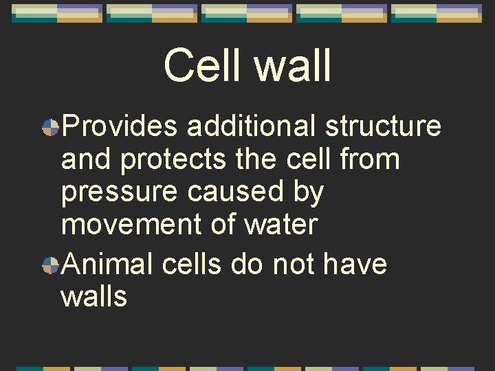 Cell wall Provides additional structure and protects the cell from pressure caused by movement