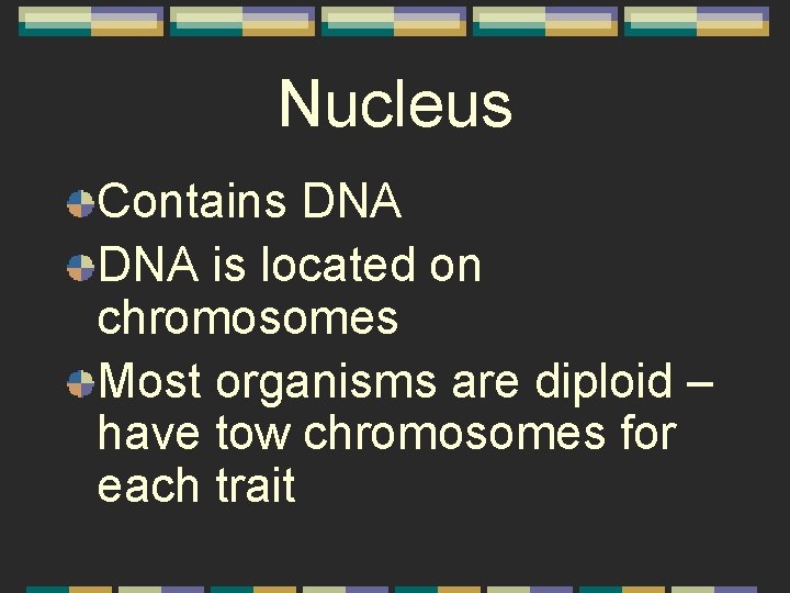 Nucleus Contains DNA is located on chromosomes Most organisms are diploid – have tow