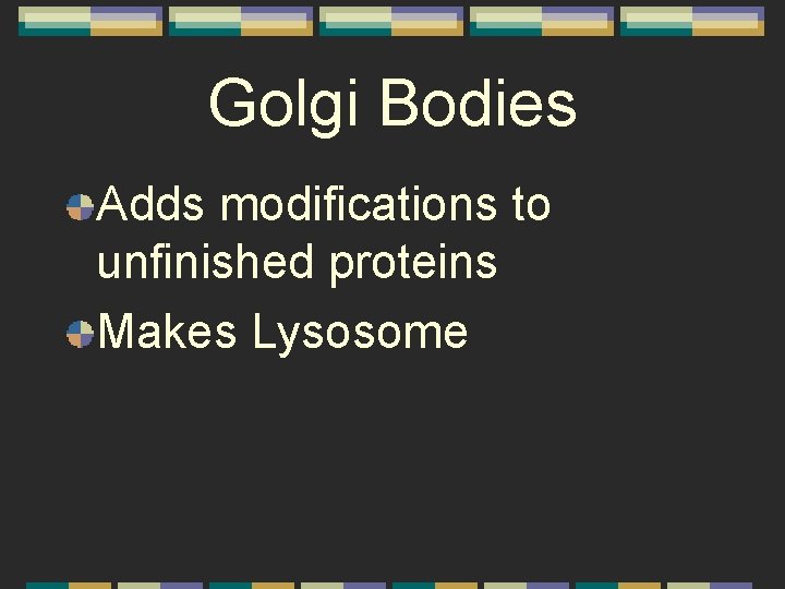 Golgi Bodies Adds modifications to unfinished proteins Makes Lysosome 