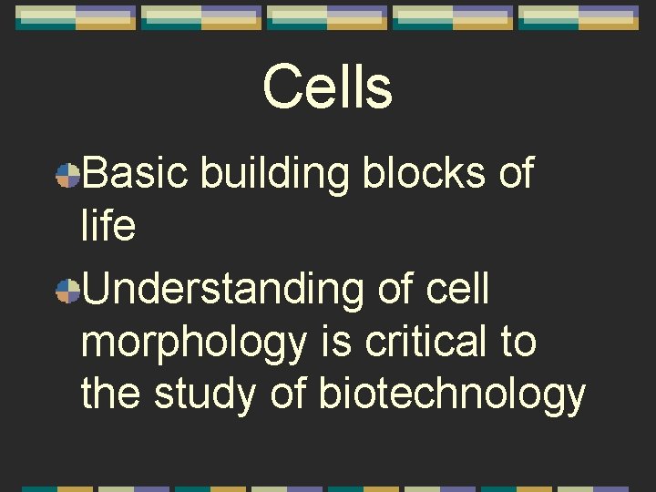 Cells Basic building blocks of life Understanding of cell morphology is critical to the