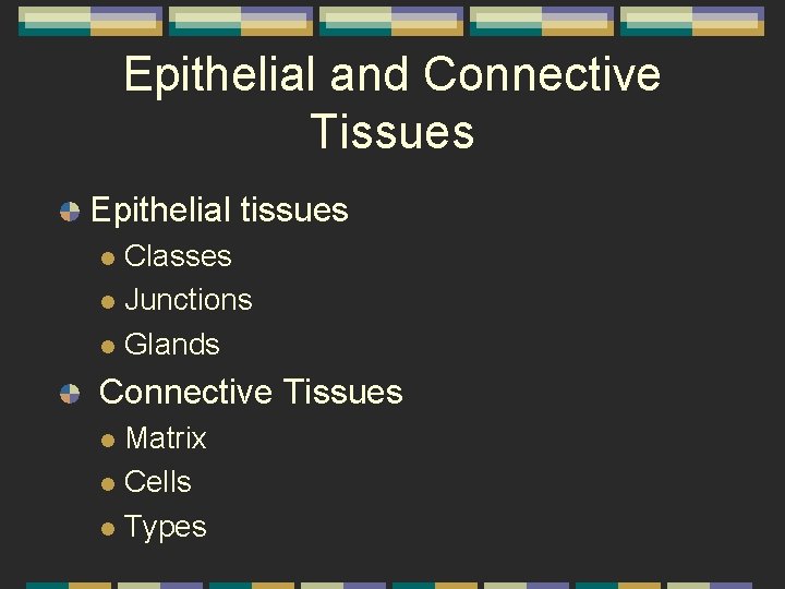 Epithelial and Connective Tissues Epithelial tissues Classes l Junctions l Glands l Connective Tissues