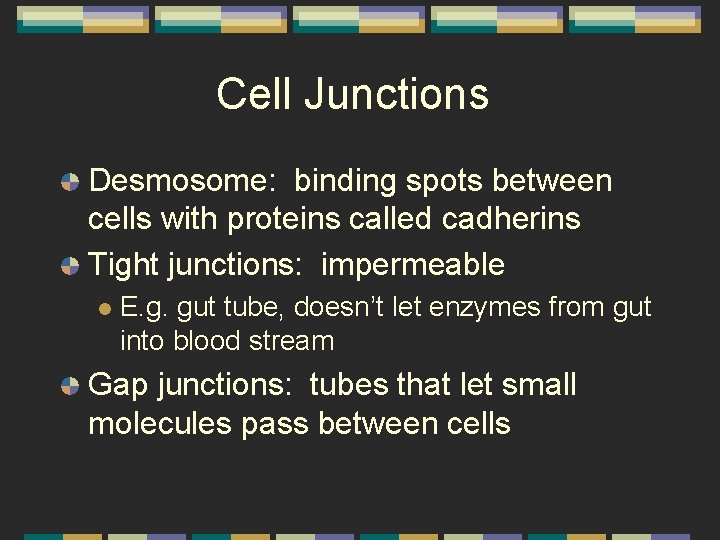 Cell Junctions Desmosome: binding spots between cells with proteins called cadherins Tight junctions: impermeable