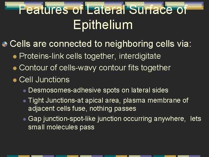 Features of Lateral Surface of Epithelium Cells are connected to neighboring cells via: Proteins-link