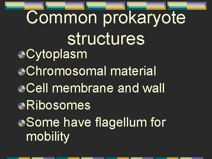 Common prokaryote structures Cytoplasm Chromosomal material Cell membrane and wall Ribosomes Some have flagellum