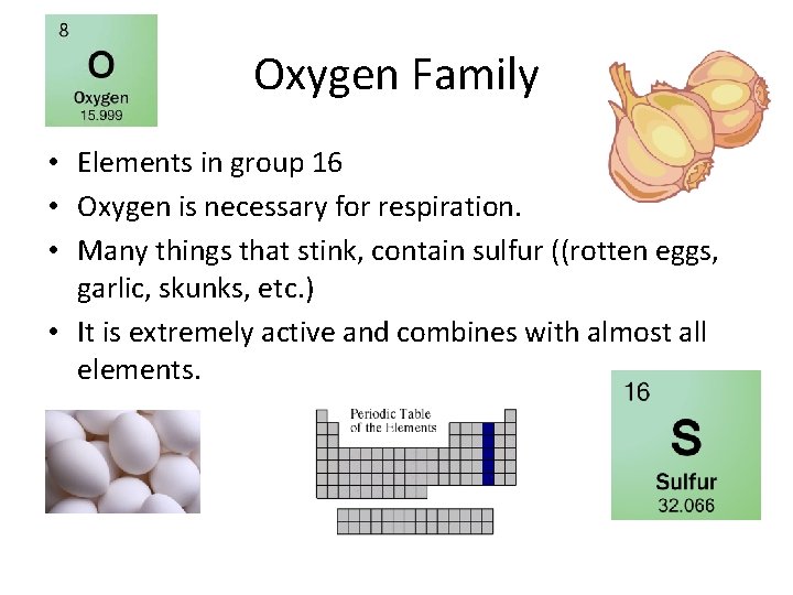 Oxygen Family • Elements in group 16 • Oxygen is necessary for respiration. •
