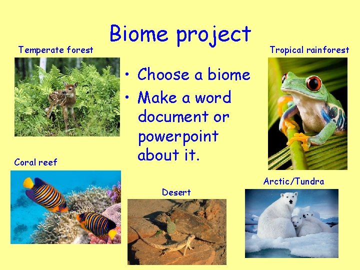 Temperate forest Coral reef Biome project Tropical rainforest • Choose a biome • Make