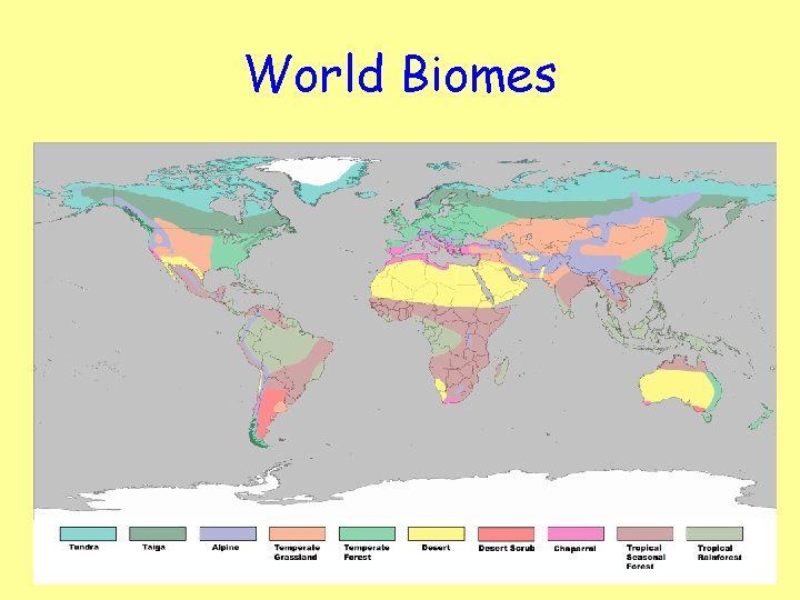 World Biomes 