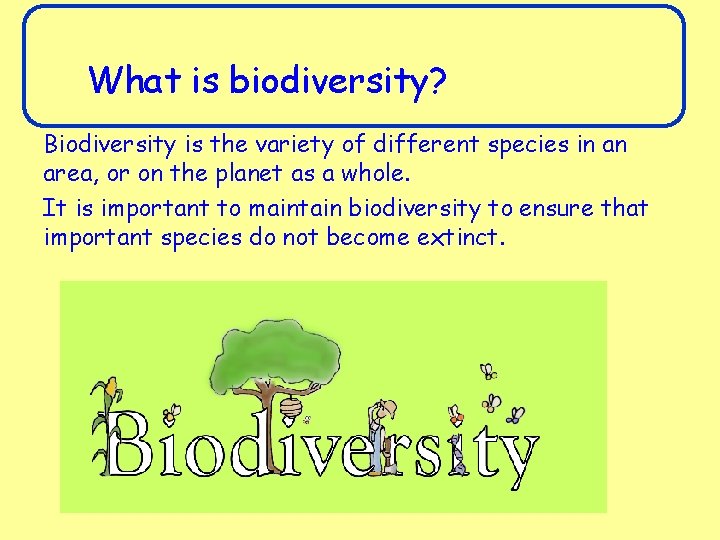 What is biodiversity? Biodiversity is the variety of different species in an area, or