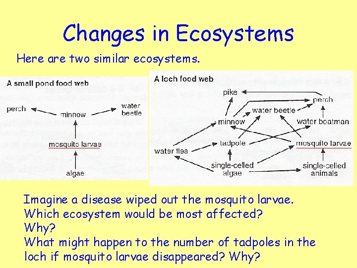 Changes in Ecosystems Here are two similar ecosystems. Imagine a disease wiped out the