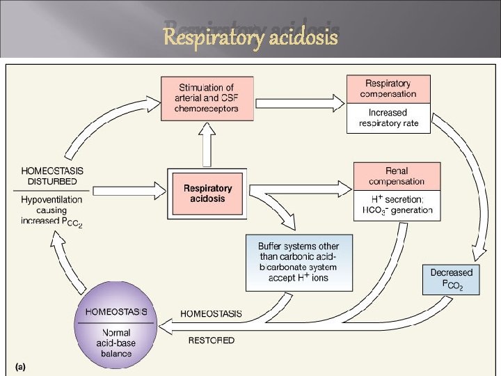 Respiratory acidosis Figure 27. 12 a 