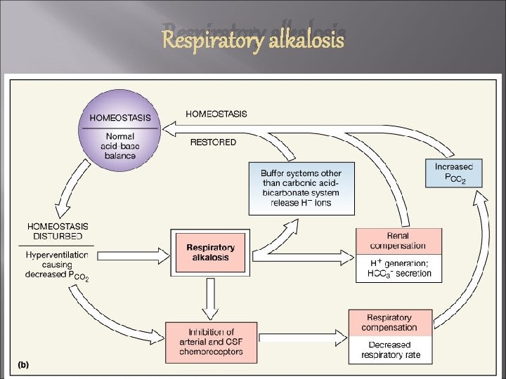 Respiratory alkalosis Figure 27. 12 b 