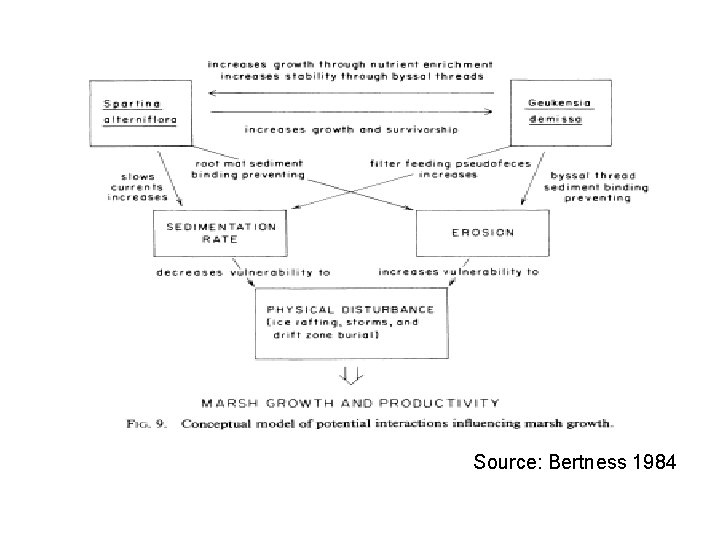 Source: Bertness 1984 
