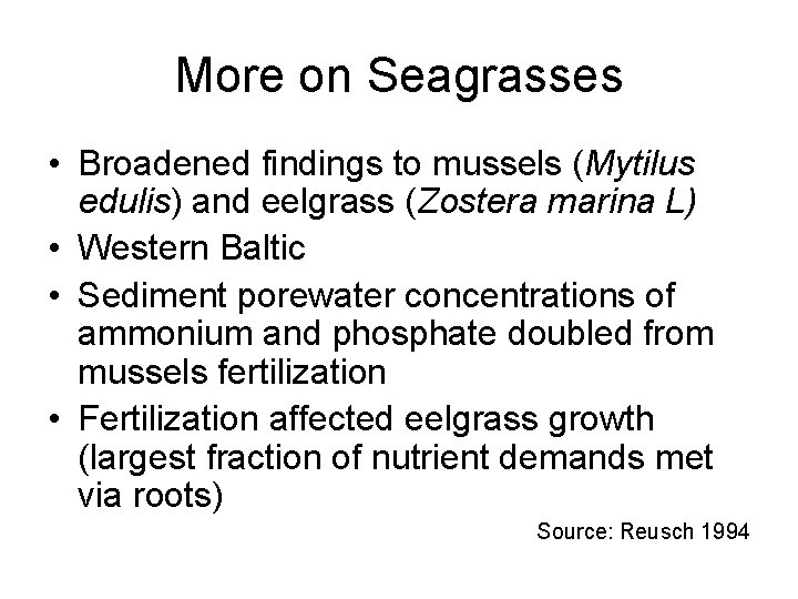 More on Seagrasses • Broadened findings to mussels (Mytilus edulis) and eelgrass (Zostera marina