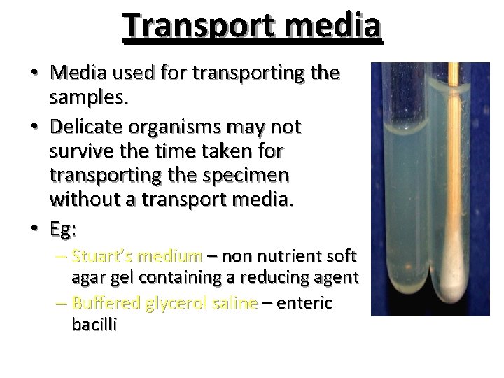 Transport media • Media used for transporting the samples. • Delicate organisms may not