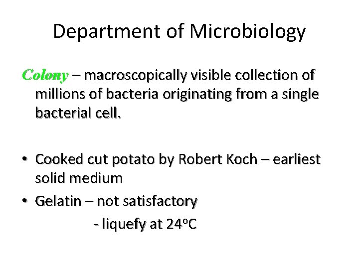 Department of Microbiology Colony – macroscopically visible collection of millions of bacteria originating from