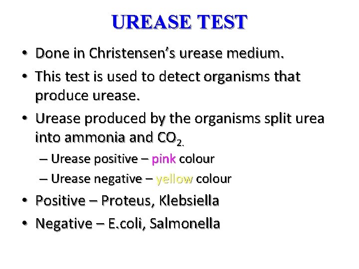 UREASE TEST • Done in Christensen’s urease medium. • This test is used to