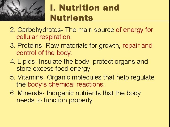 I. Nutrition and Nutrients 2. Carbohydrates- The main source of energy for cellular respiration.