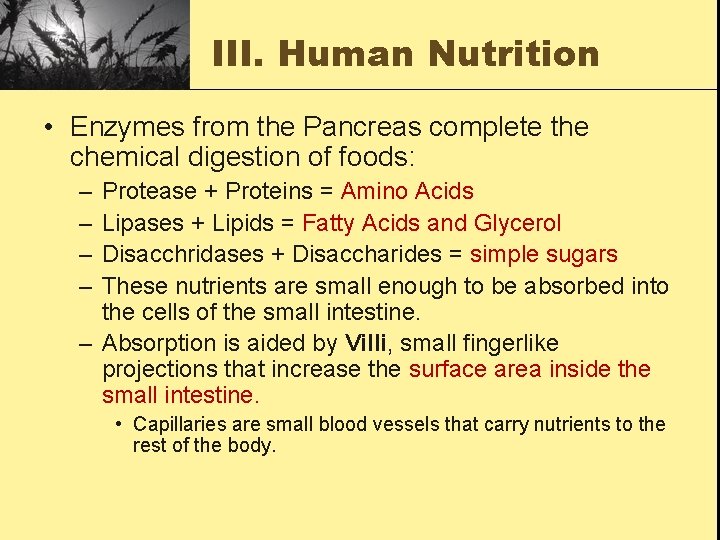 III. Human Nutrition • Enzymes from the Pancreas complete the chemical digestion of foods: