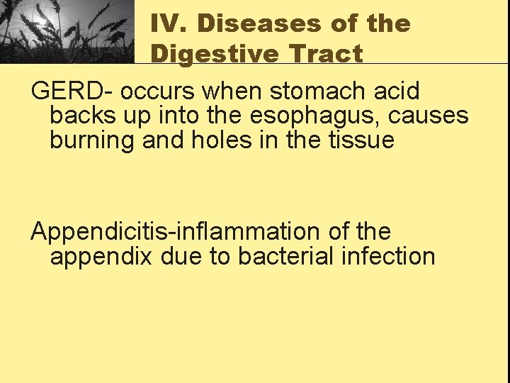 IV. Diseases of the Digestive Tract GERD- occurs when stomach acid backs up into