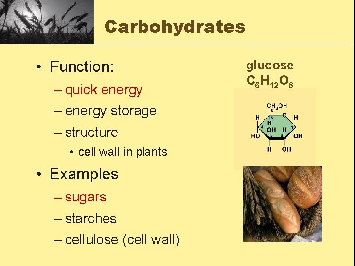 Carbohydrates • Function: – quick energy – energy storage – structure • cell wall