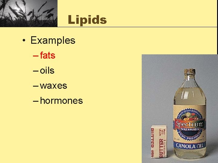 Lipids • Examples – fats – oils – waxes – hormones 2003 -2004 
