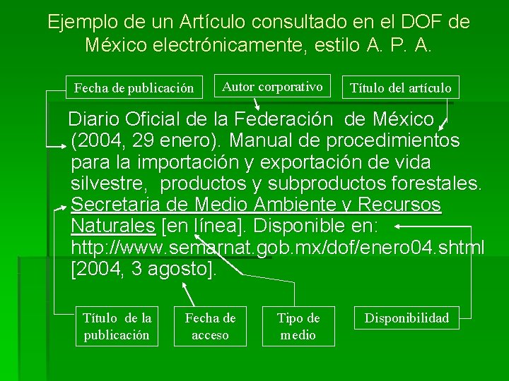 Ejemplo de un Artículo consultado en el DOF de México electrónicamente, estilo A. P.