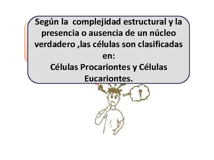 Según la complejidad estructural y la presencia o ausencia de un núcleo ¿verdadero Qué