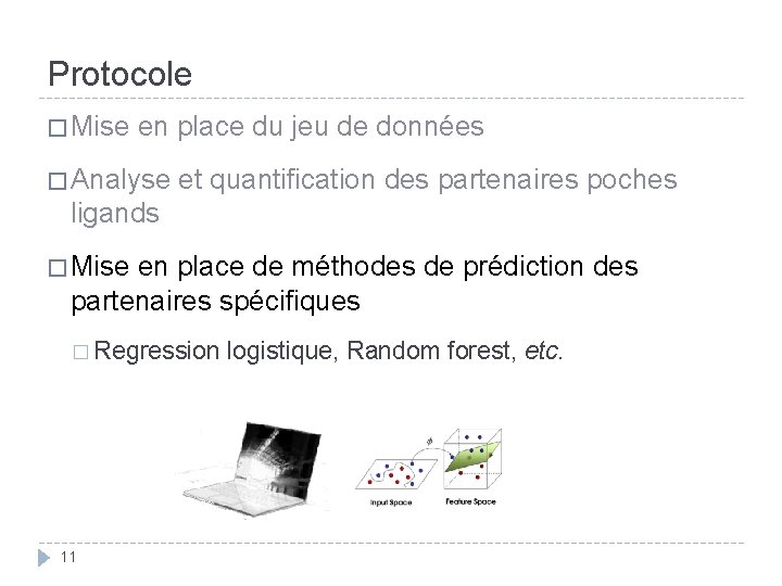 Protocole � Mise en place du jeu de données � Analyse et quantification des