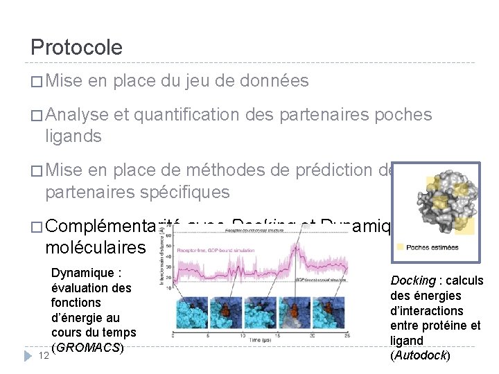Protocole � Mise en place du jeu de données � Analyse et quantification des