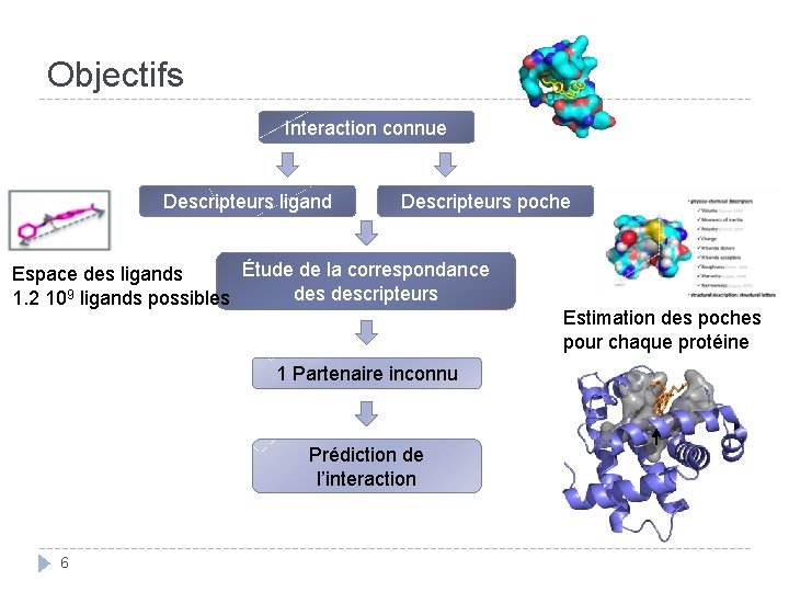 Objectifs Interaction connue Descripteurs ligand Descripteurs poche Étude de la correspondance Espace des ligands