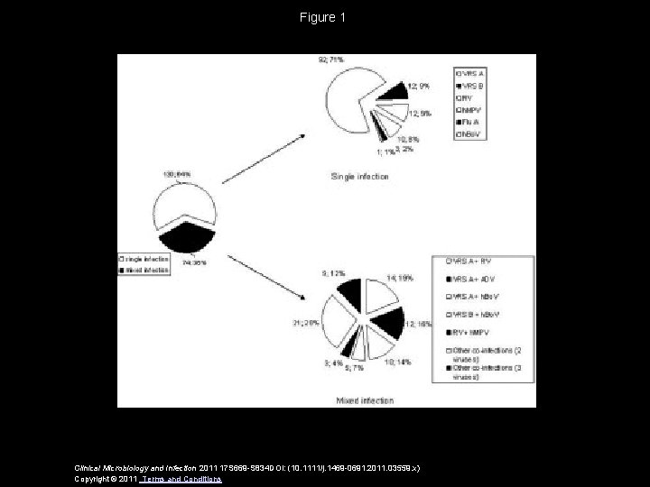 Figure 1 Clinical Microbiology and Infection 2011 17 S 669 -S 834 DOI: (10.