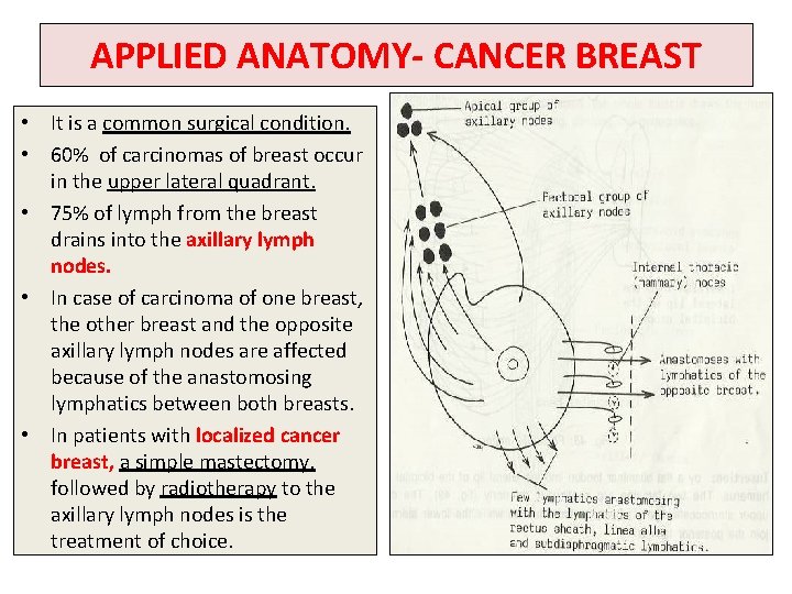APPLIED ANATOMY- CANCER BREAST • It is a common surgical condition. • 60% of