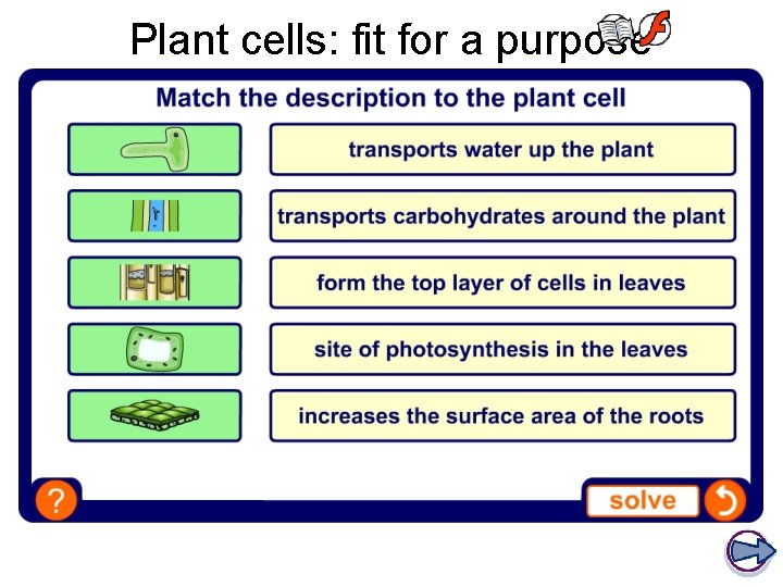 Plant cells: fit for a purpose Plant cells: fit for a purpose