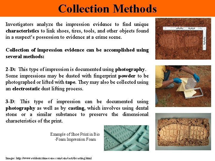 Collection Methods Investigators analyze the impression evidence to find unique characteristics to link shoes,