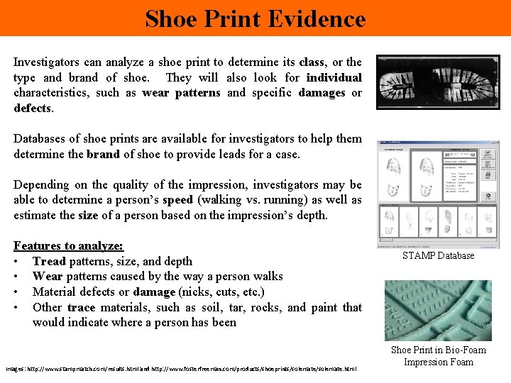 Shoe Print Evidence Investigators can analyze a shoe print to determine its class, or