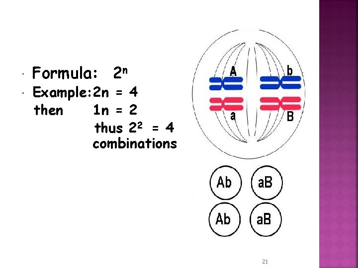  Formula: 2 n Example: 2 n = 4 then 1 n = 2