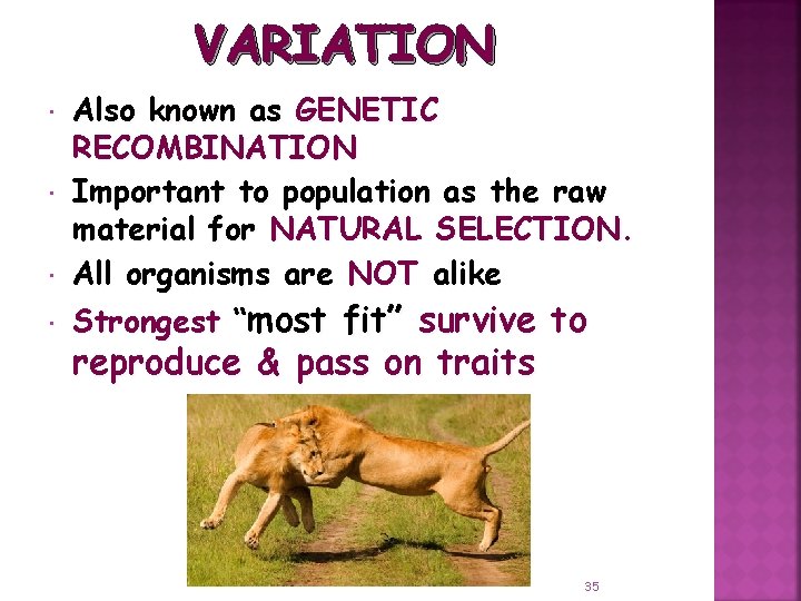 VARIATION Also known as GENETIC RECOMBINATION Important to population as the raw material for