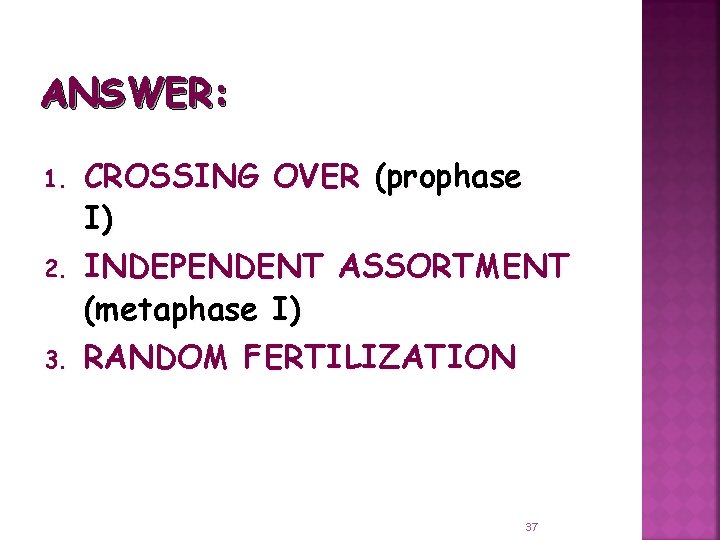 ANSWER: 1. 2. 3. CROSSING OVER (prophase I) INDEPENDENT ASSORTMENT (metaphase I) RANDOM FERTILIZATION