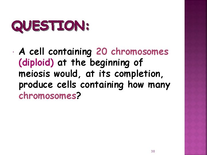 QUESTION: A cell containing 20 chromosomes (diploid) at the beginning of meiosis would, at