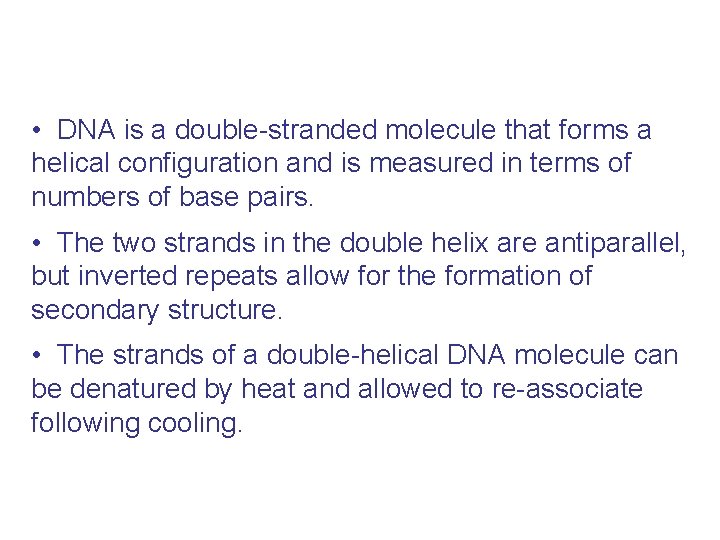  • DNA is a double-stranded molecule that forms a helical configuration and is
