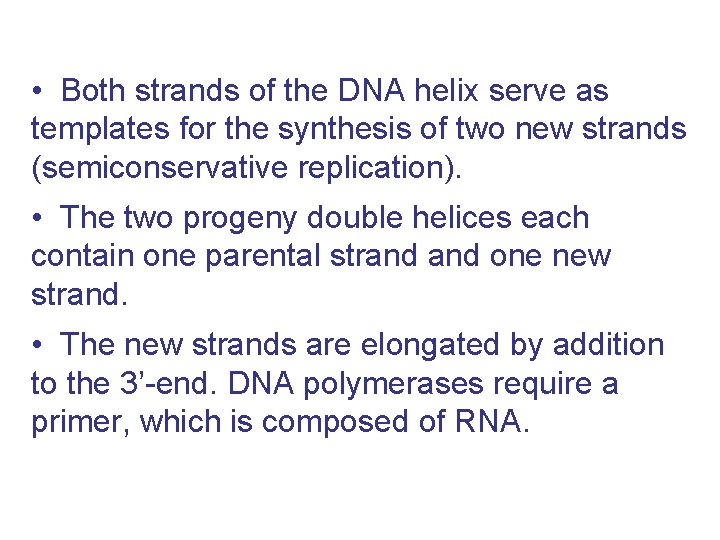 • Both strands of the DNA helix serve as templates for the synthesis