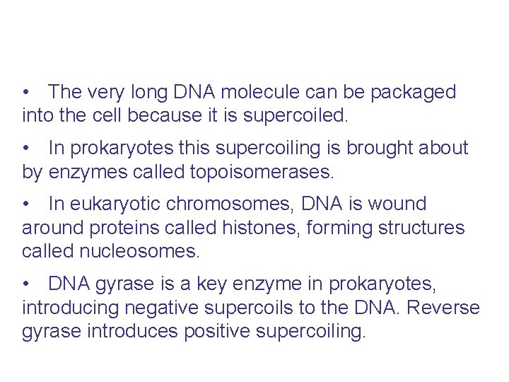  • The very long DNA molecule can be packaged into the cell because